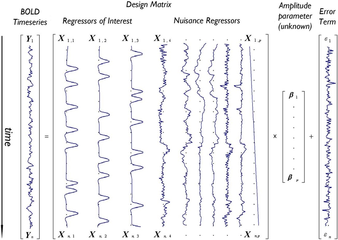 General Linear model