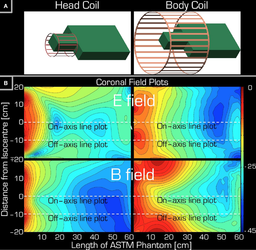 spatial distribution of E and B fields RF coils